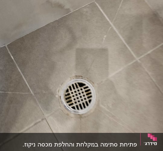 תמונה של רצפת מקלחת עם ניקוז